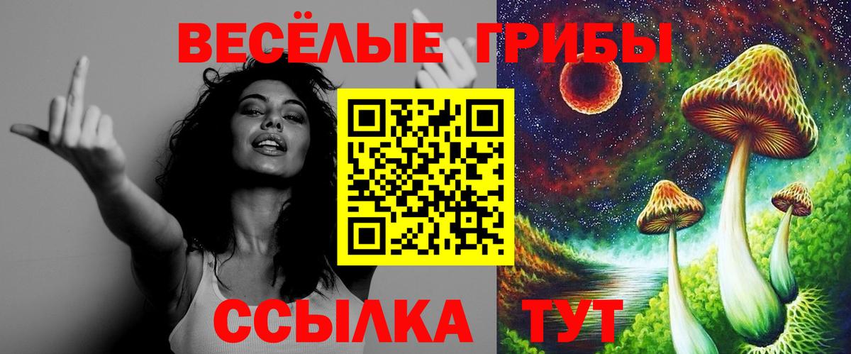 Галлюциногенные грибы мицелий  Вход с VPN  Новокубанск 
